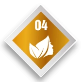 HỆ THỐNG CHUỖI CÔNG NGHỆ CAO